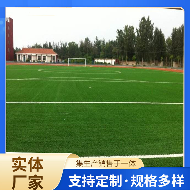 汕头市塑胶跑道人造草坪 - 厂家